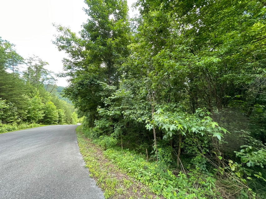 Photo #5: 00 Bear Track Way