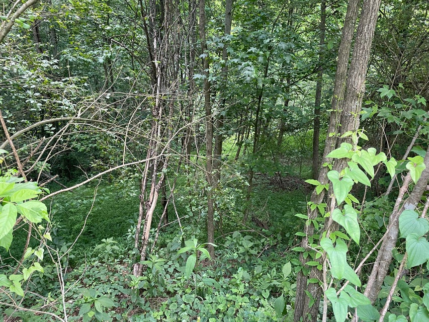 Photo #9: 00 Bear Track Way