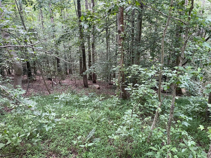 Photo #15: 00 Bear Track Way