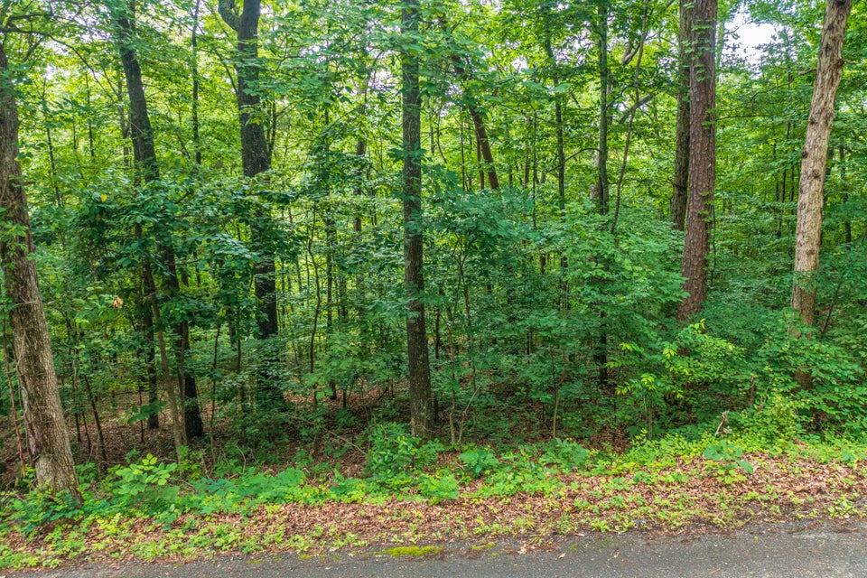 Photo #1: 0 Iron Gate Drive