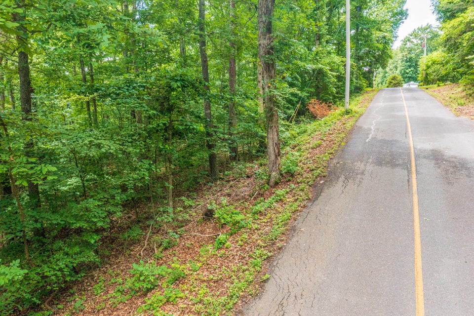 Photo #14: 0 Iron Gate Drive