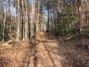 Photo #2: 00 Butcher Valley Road