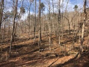 Photo #3: 00 Butcher Valley Road