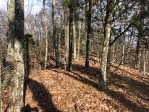 Photo #4: 00 Butcher Valley Road