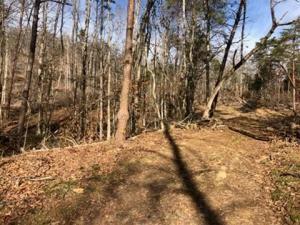 Photo #5: 00 Butcher Valley Road
