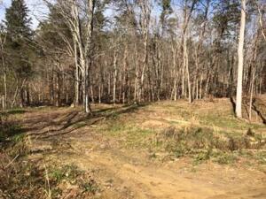 Photo #6: 00 Butcher Valley Road