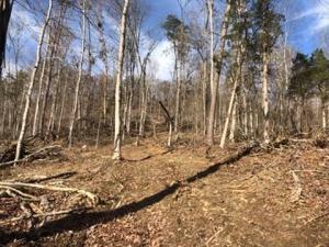 Photo #7: 00 Butcher Valley Road