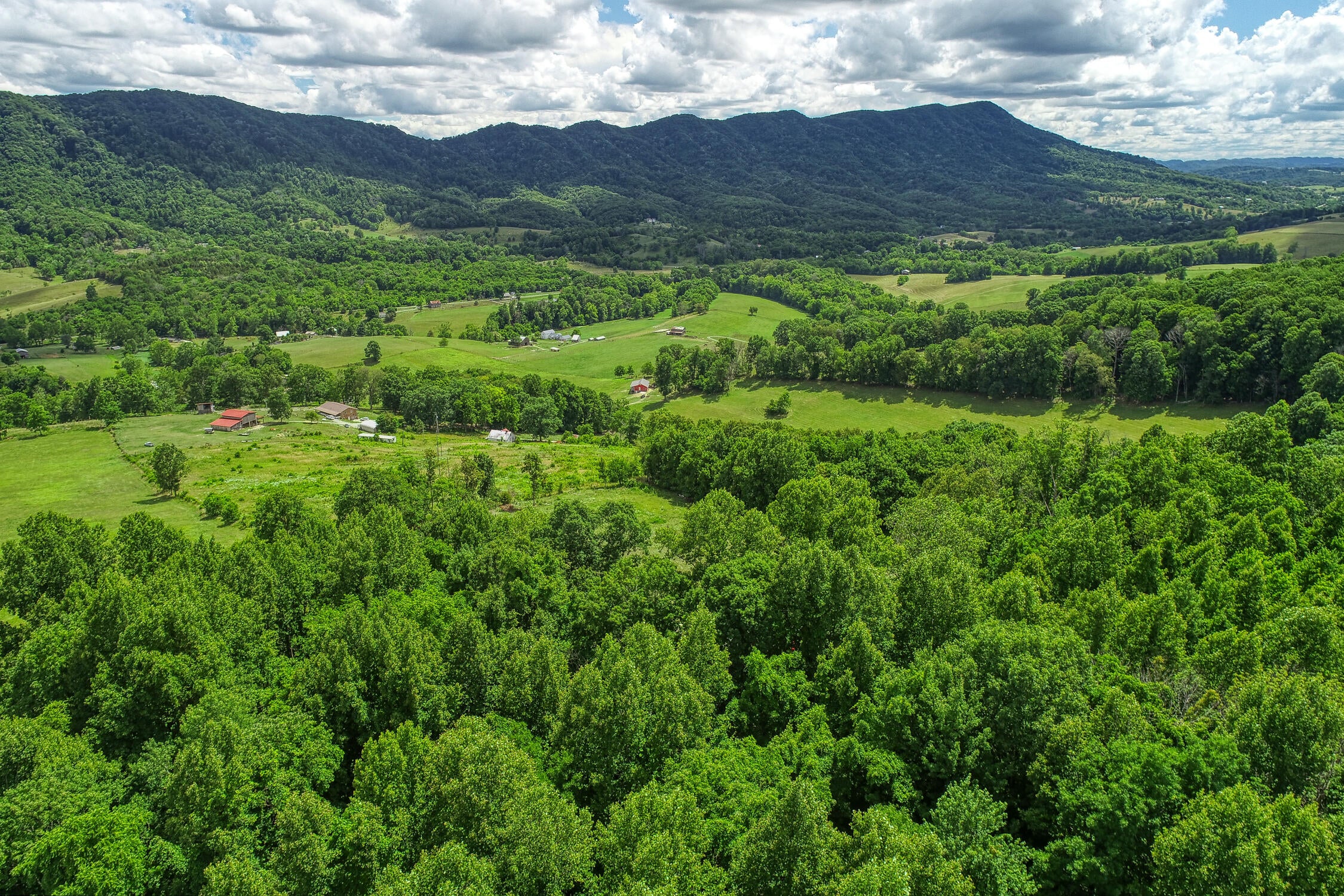 Photo #19: 855 Gate Road