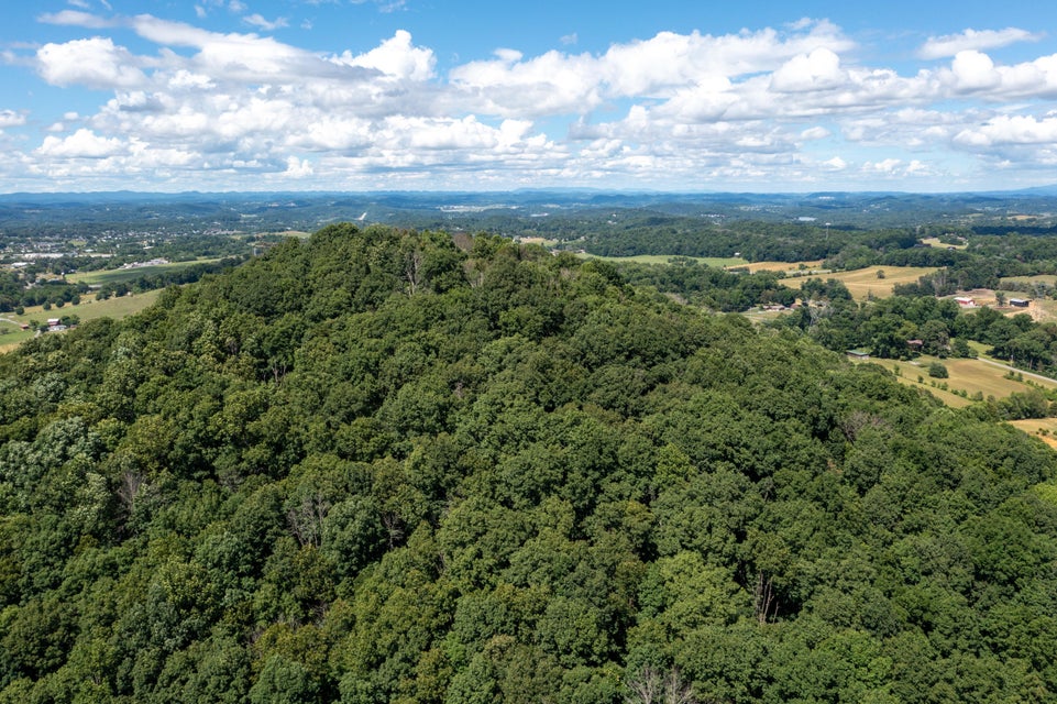 Photo #21: Tbd Ridgeheights Drive