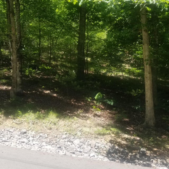 Photo #1: 202 Toqua Lane