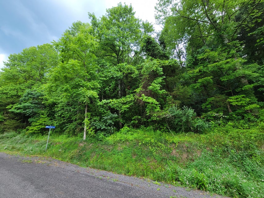 Photo #3: Tbd Ivy Valley Road