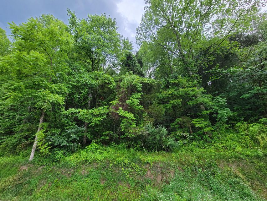 Photo #2: Tbd Ivy Valley Road