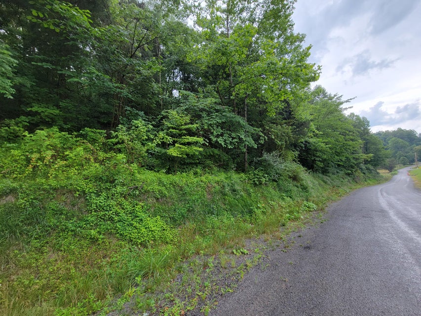 Photo #4: Tbd Ivy Valley Road