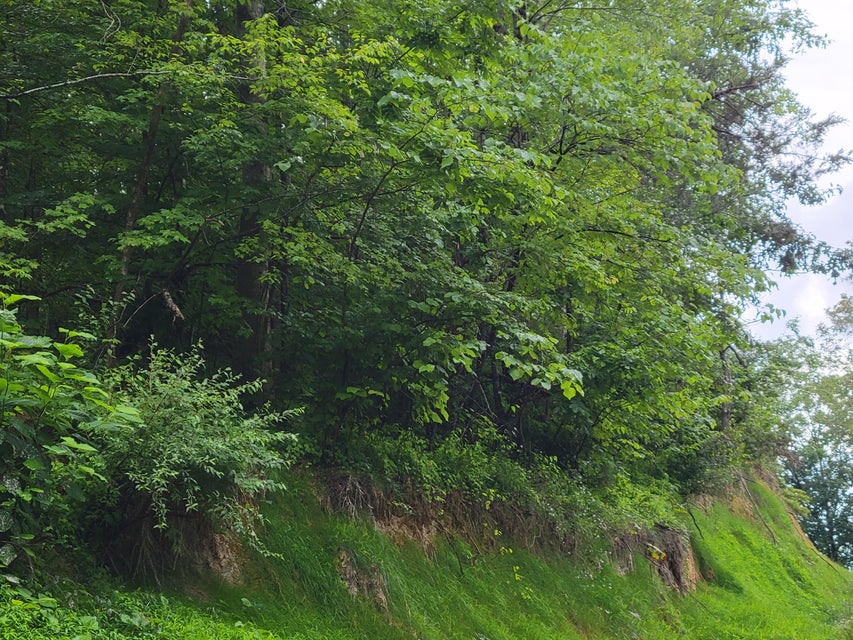 Photo #12: Tbd Ivy Valley Road