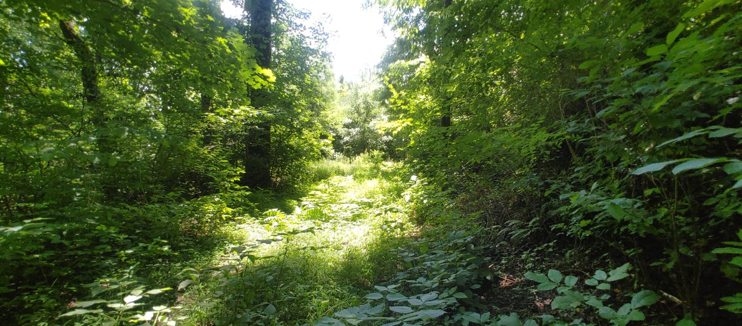 Photo #23: Tbd Ridgeheights Drive