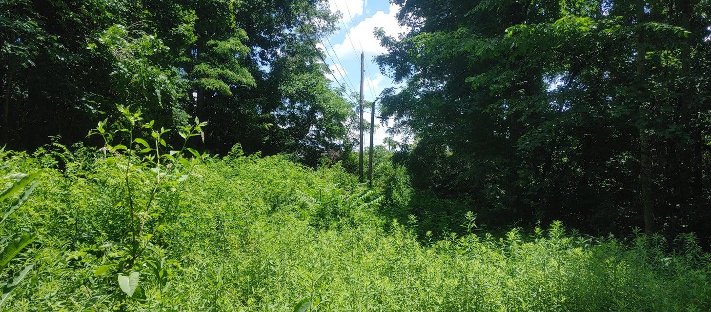 Photo #24: Tbd Ridgeheights Drive