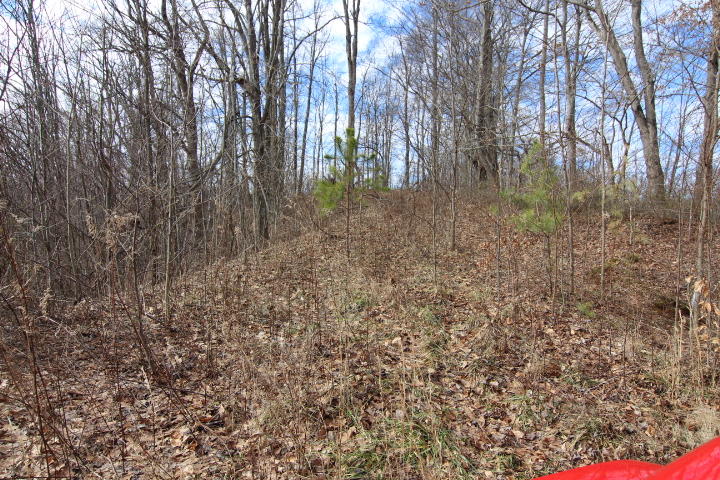 Photo #1: 000 Of Highway 421