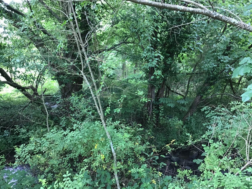 Photo #2: Tbd East Stone Gap Road