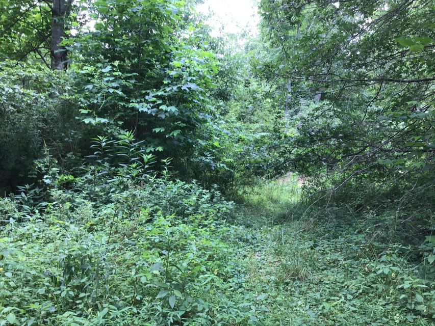 Photo #1: Tbd East Stone Gap Road