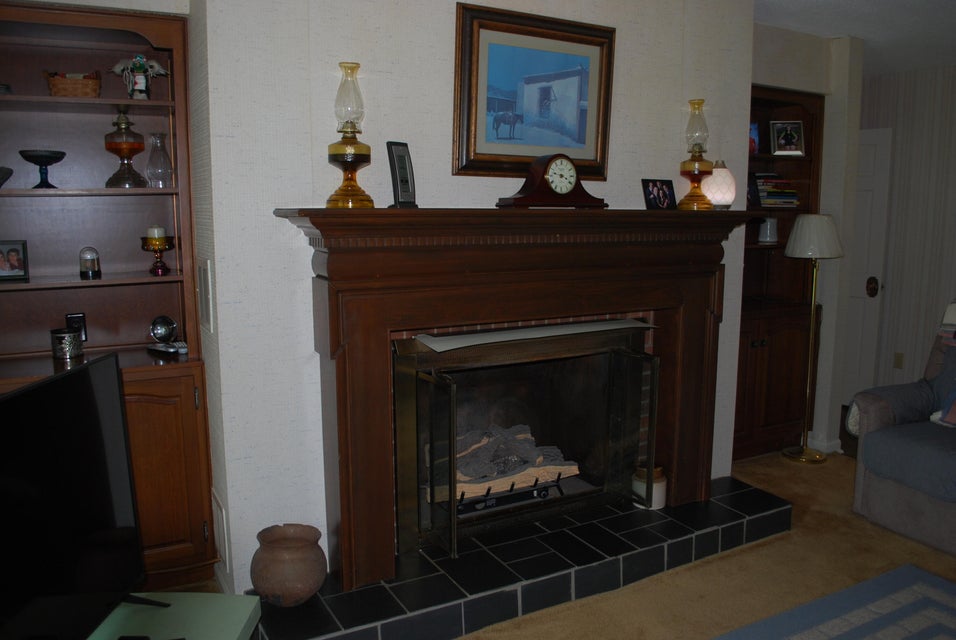 Photo #8: 8905 Mountain Shadow Drive
