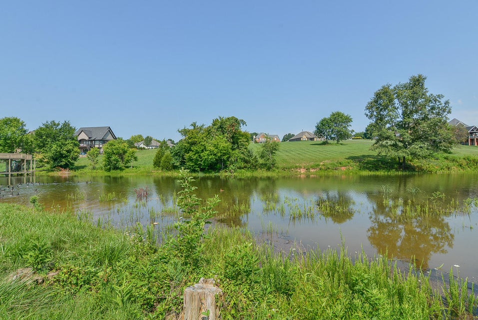 Photo #6: 164 Forest Lane