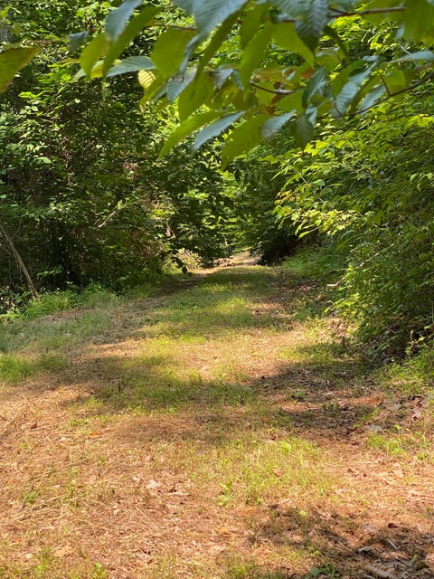 Photo #27: 00 Reservoir Road