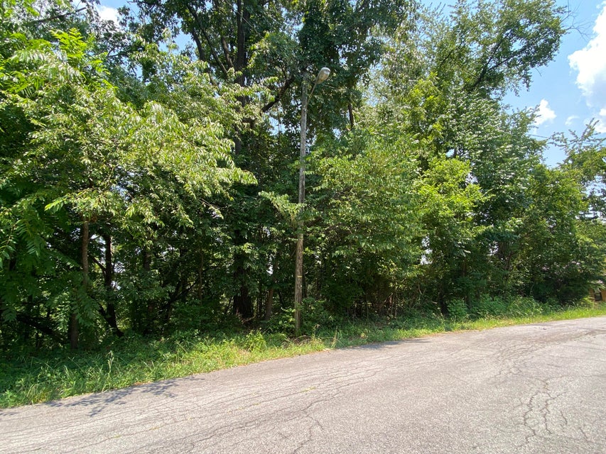 Photo #1: Tbd Starling Drive