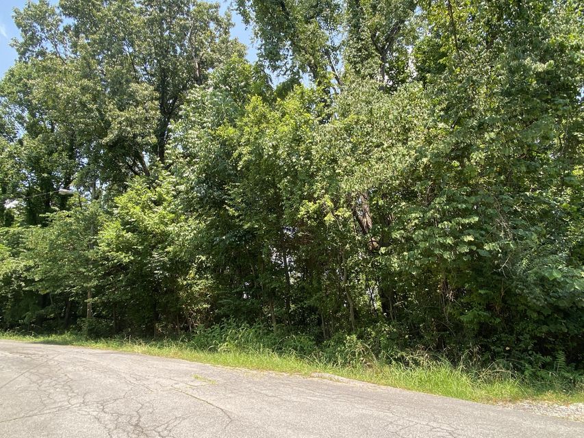 Photo #2: Tbd Starling Drive