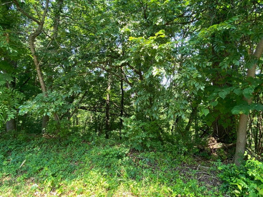 Photo #3: Tbd Starling Drive