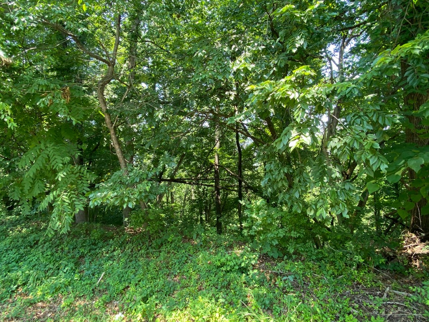 Photo #4: Tbd Starling Drive