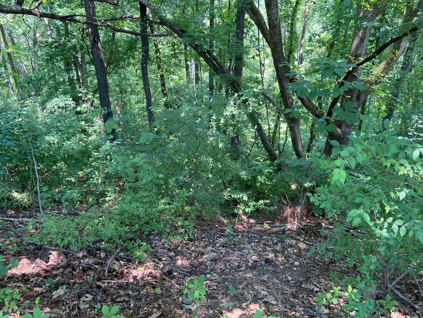 Photo #8: Tbd Starling Drive