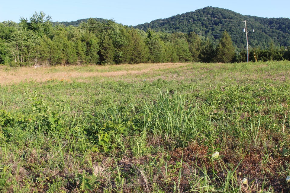 Photo #8: 318 Ruritan Road