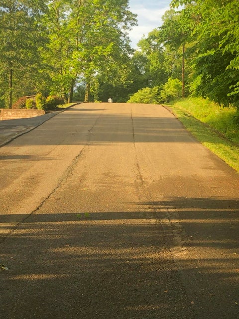 Photo #5: Tbd Willmary Drive