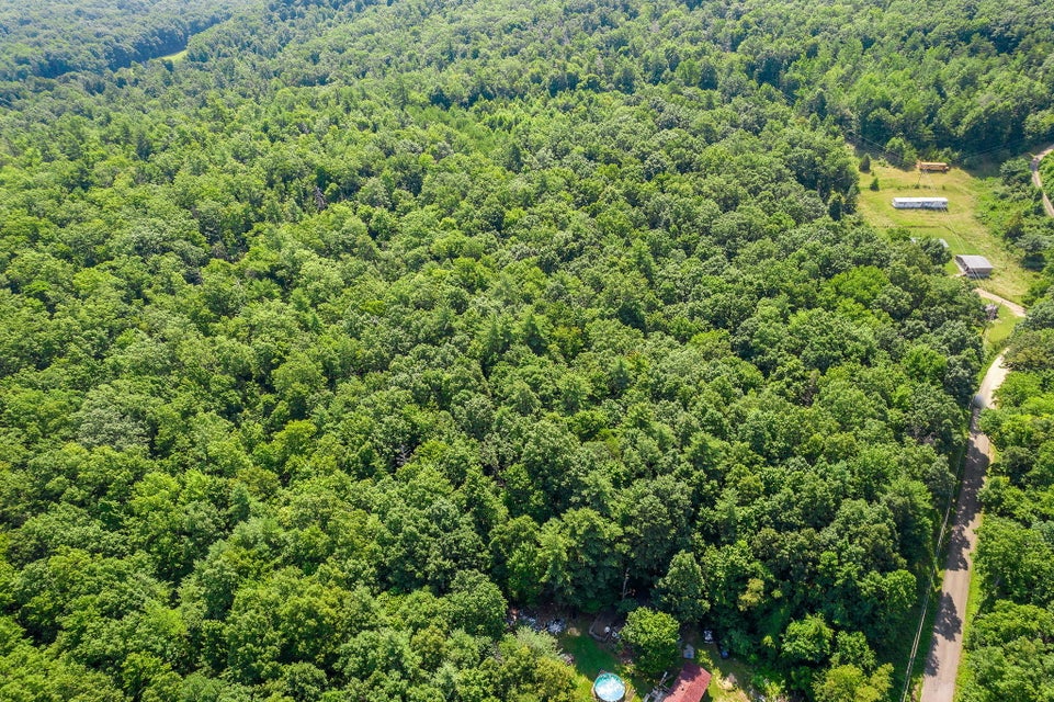 Photo #7: Xx Round Knob Road