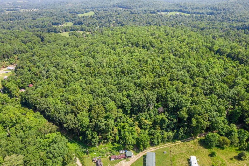 Photo #9: Xx Round Knob Road