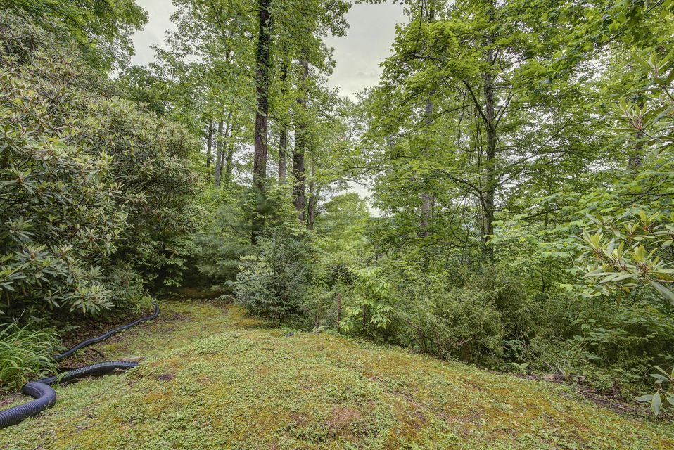 Photo #34: 310 Miller Hollow Road