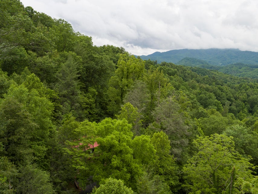 Photo #36: 310 Miller Hollow Road