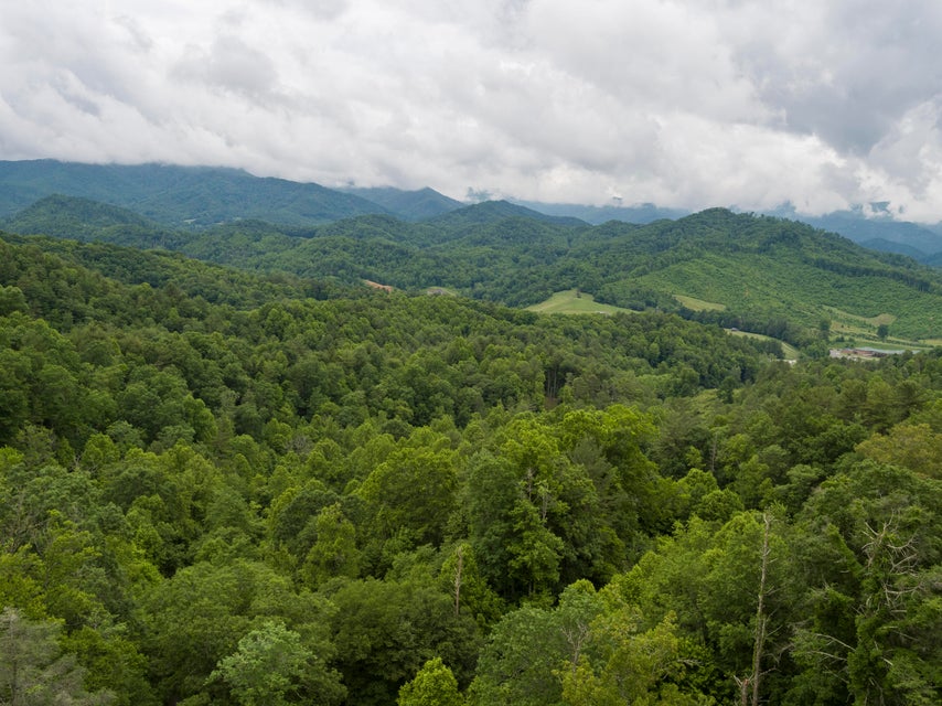 Photo #37: 310 Miller Hollow Road