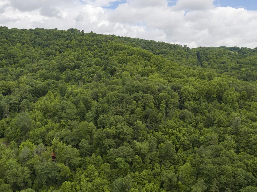 Photo #39: 310 Miller Hollow Road