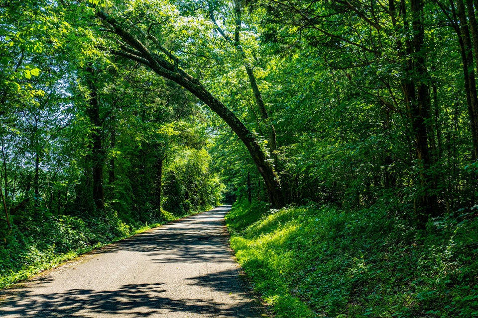 Photo #2: 0 Abels Valley Road