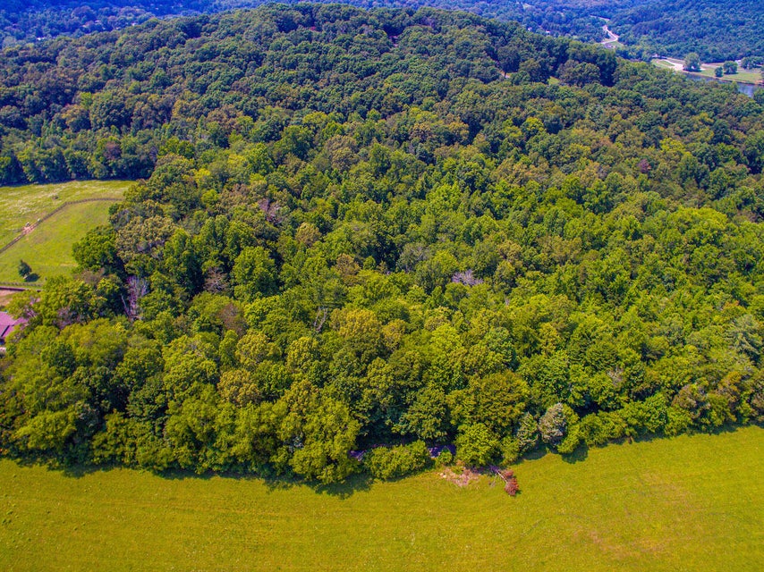 Photo #6: 0 Abels Valley Road