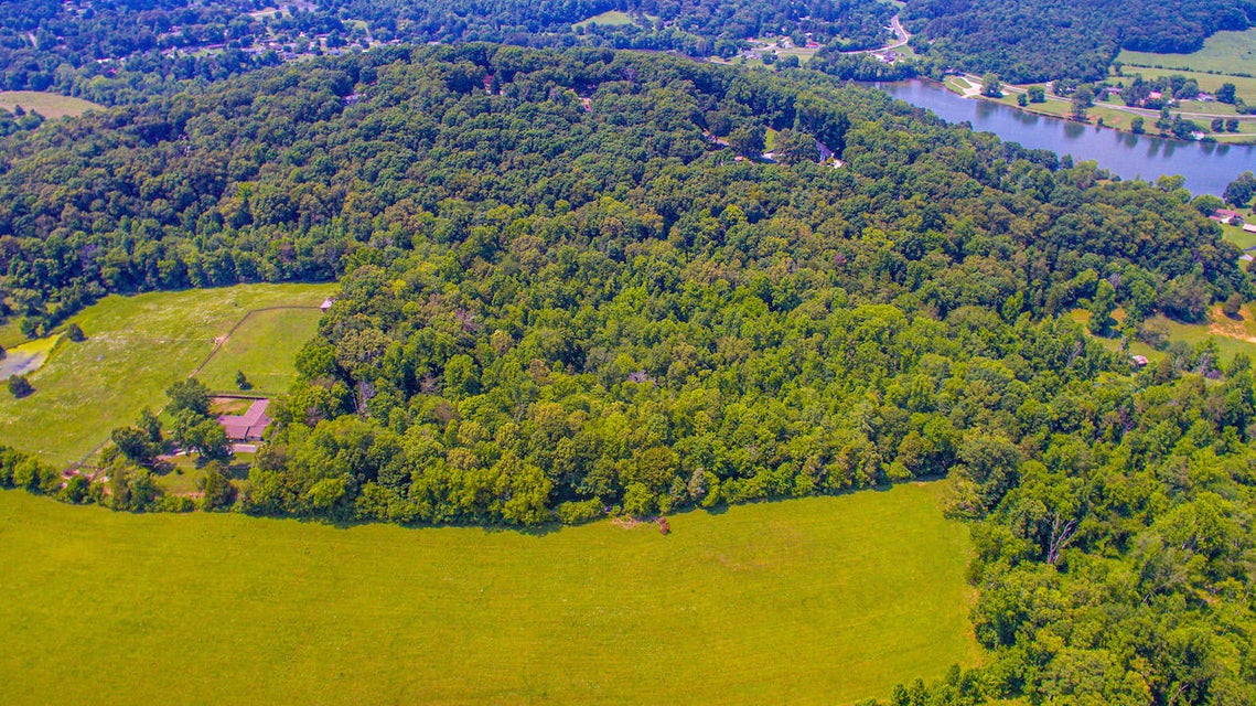 Photo #7: 0 Abels Valley Road