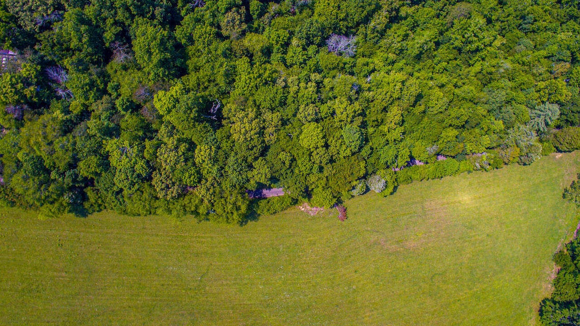 Photo #9: 0 Abels Valley Road