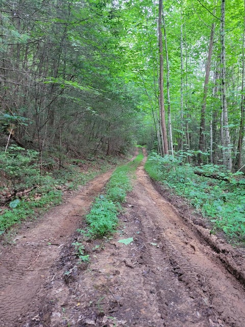 Photo #4: 00 Arrowhead Extension