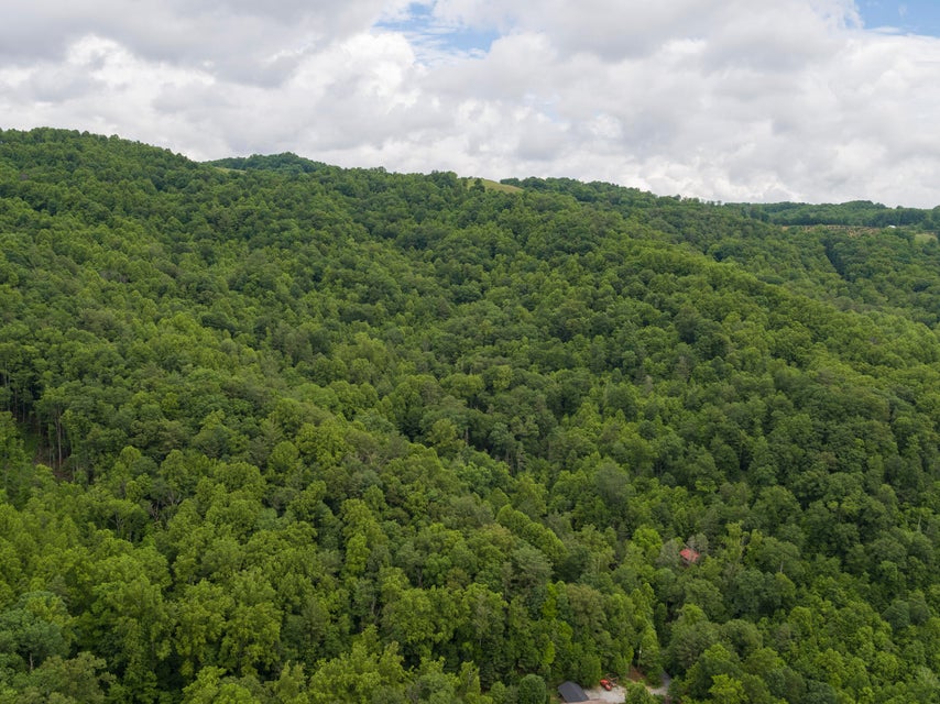 Photo #41: 310 Miller Hollow Road