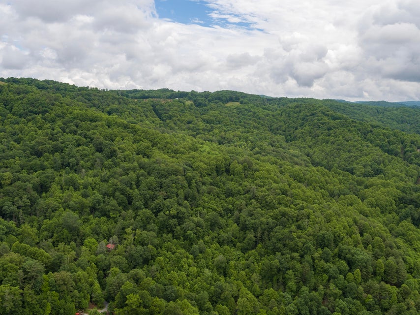Photo #42: 310 Miller Hollow Road
