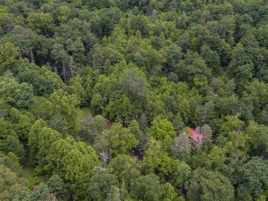 Photo #43: 310 Miller Hollow Road