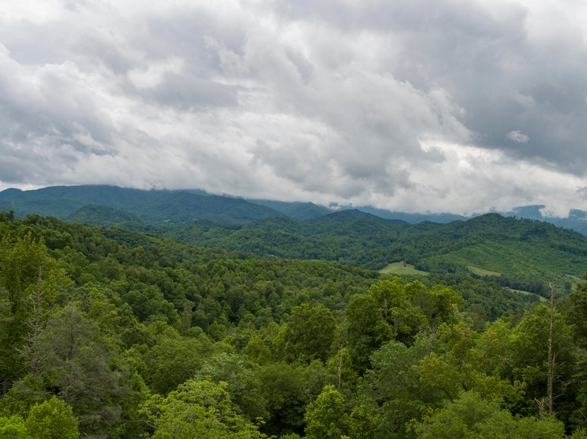 Photo #44: 310 Miller Hollow Road