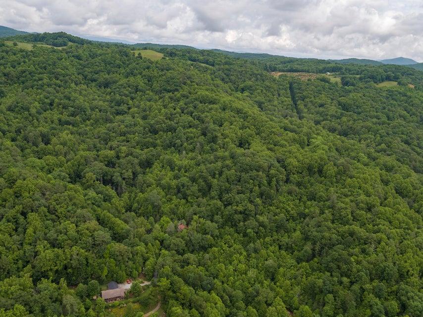 Photo #46: 310 Miller Hollow Road