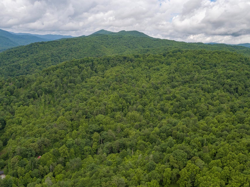 Photo #47: 310 Miller Hollow Road